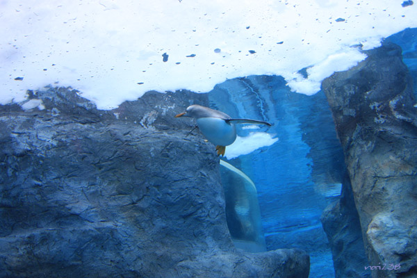 c0181134_09114.jpg