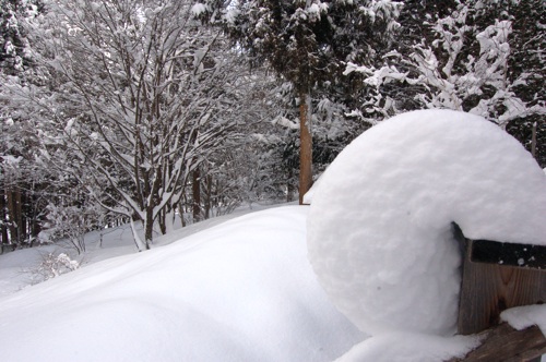 けっこう雪が降り続いて晴れた朝の寒さ_c0002943_1455880.jpg