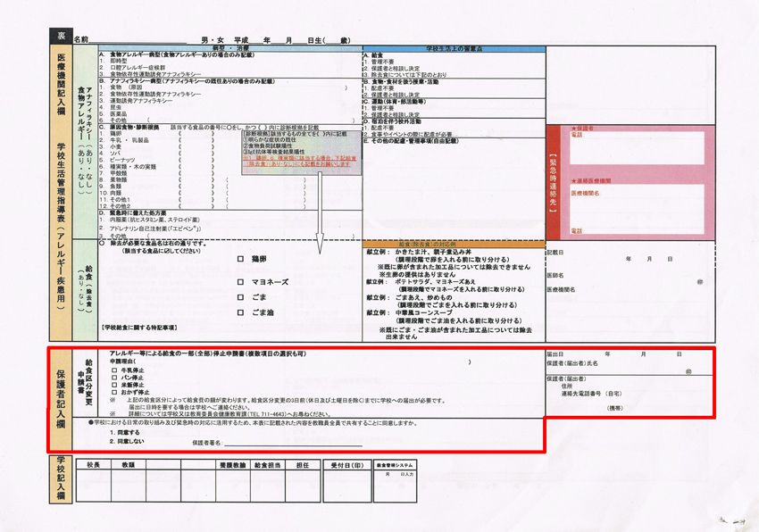 どうやってお弁当にしたらいいの？_a0258146_1253841.jpg