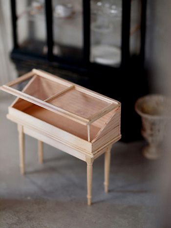 miniature* ショーケース棚_e0172847_1728496.jpg