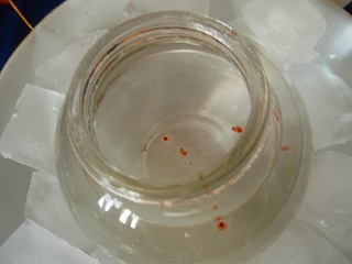 e0004756_211437.jpg