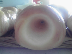 c0161859_16323676.png