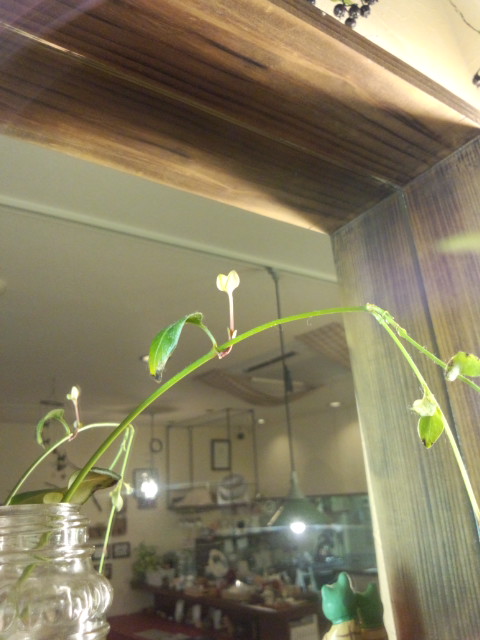 f0195259_0304885.jpg