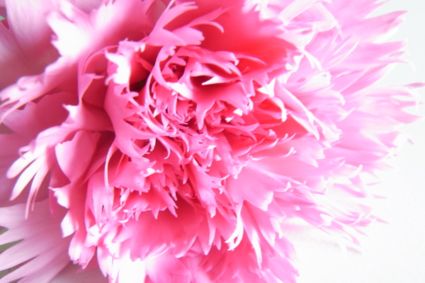 c0247861_231160.jpg