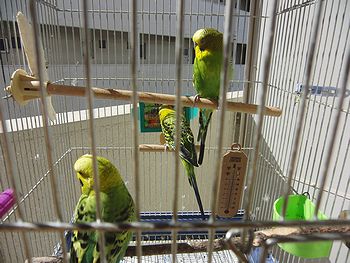 f0196665_21482012.jpg