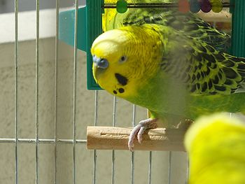 f0196665_21494757.jpg