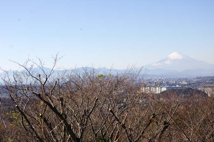 2011年度六国見山森林公園の臨時手入れ終了：3・26_c0014967_195578.jpg