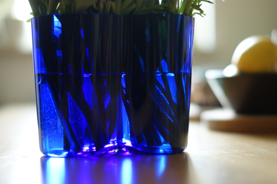 c0030570_555354.jpg