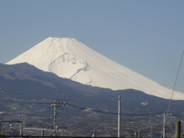 ♪ せかいでいっとーてごわいちゃんす_d0109373_21553081.jpg