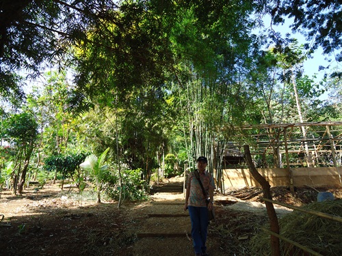 a0199979_122111100.jpg