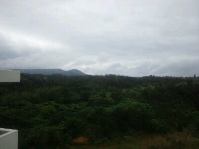 b0169887_2244322.jpg