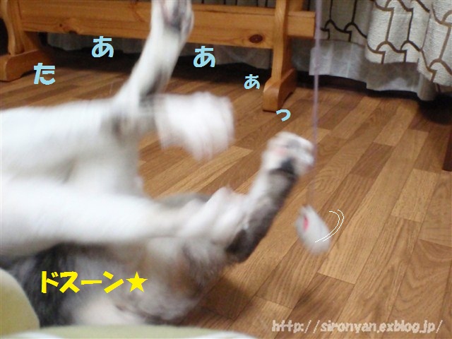a0159490_16303410.jpg