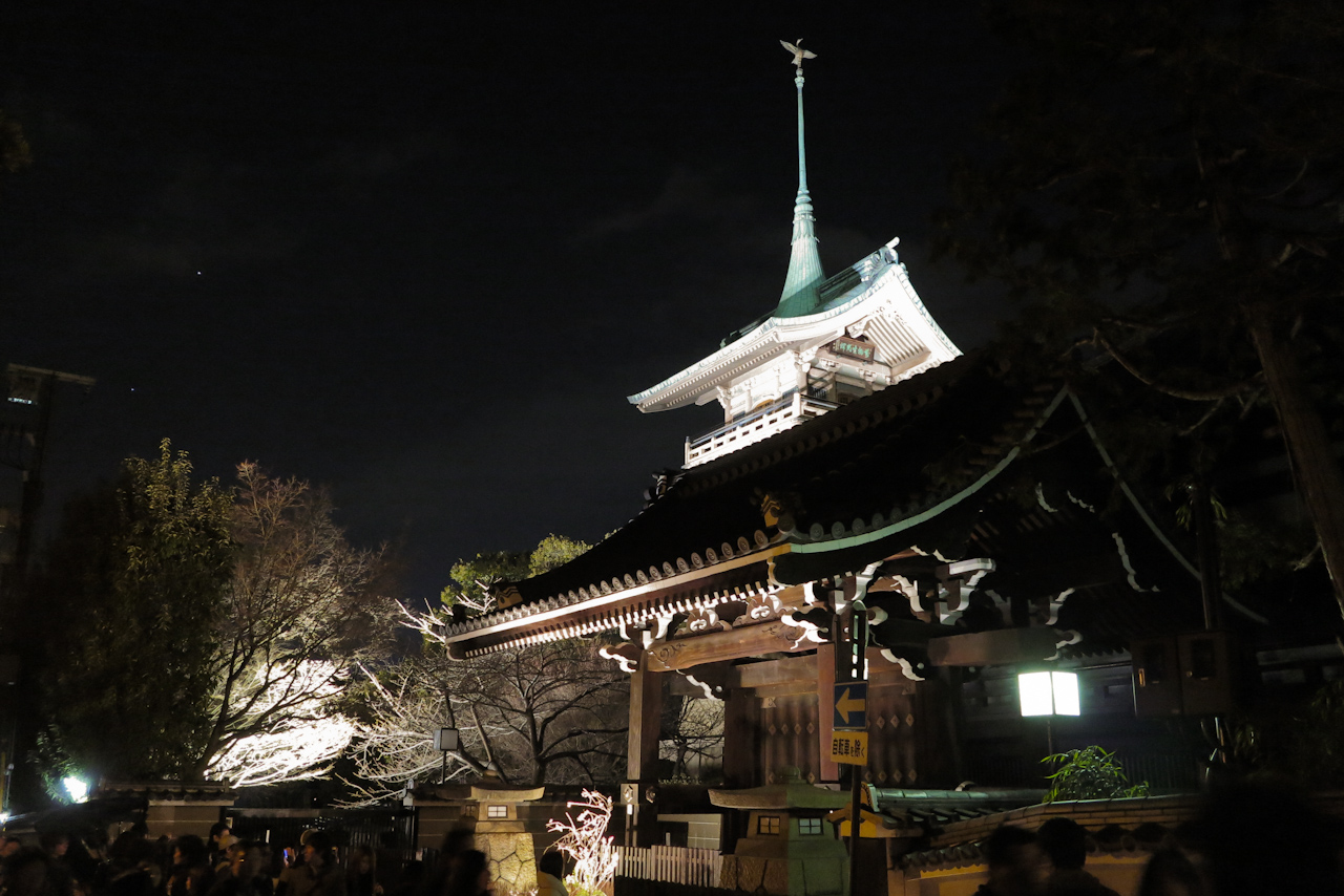 京都・東山花灯路最終日　〜PowerShot G1 X 編_d0212994_1510166.jpg