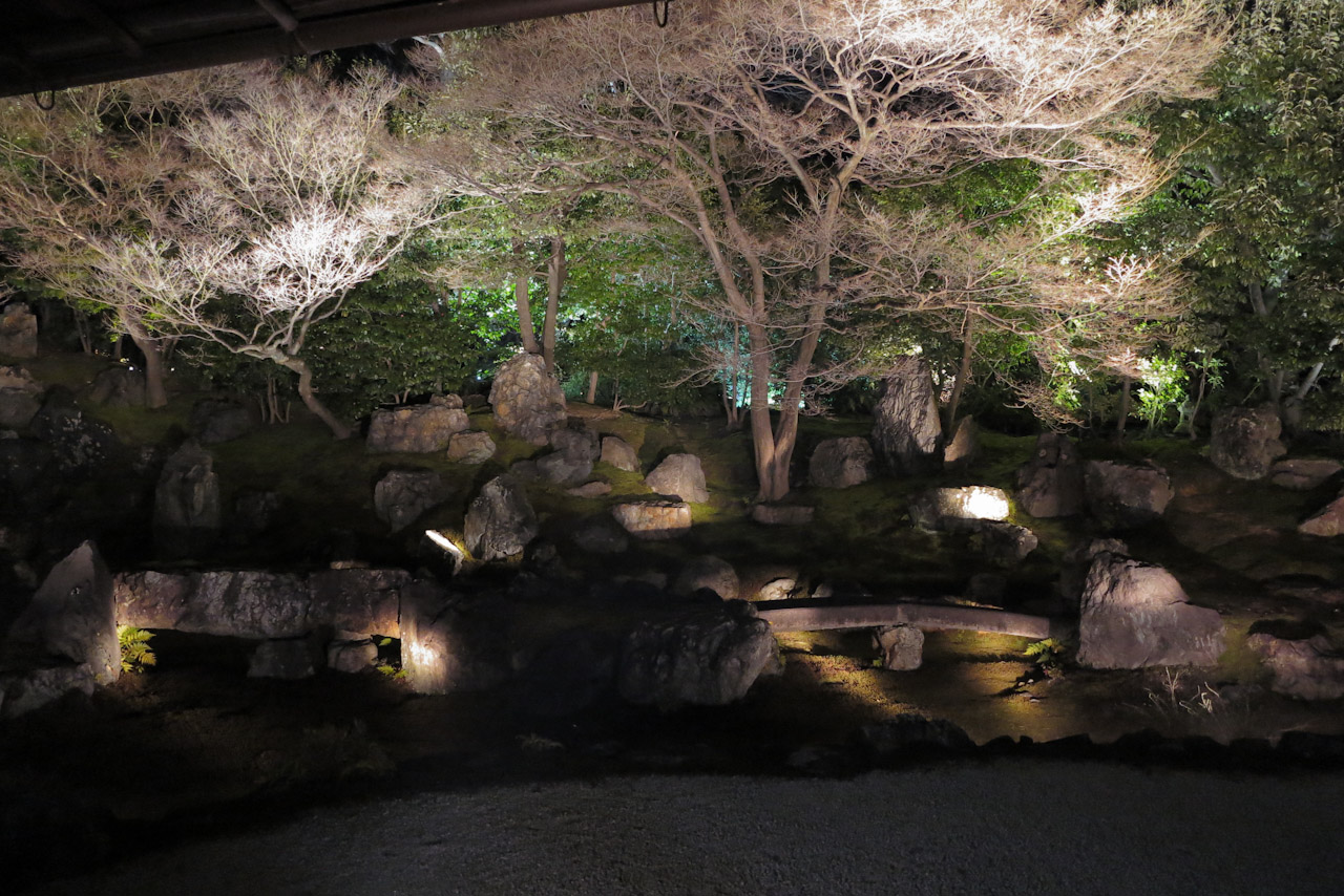 京都・東山花灯路最終日　〜PowerShot G1 X 編_d0212994_1585883.jpg