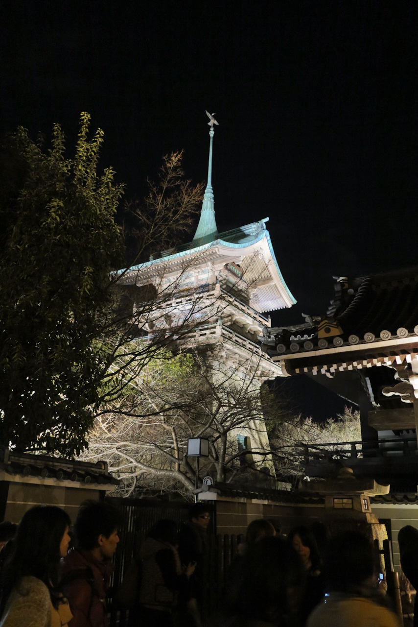 京都・東山花灯路最終日　〜PowerShot G1 X 編_d0212994_1595728.jpg