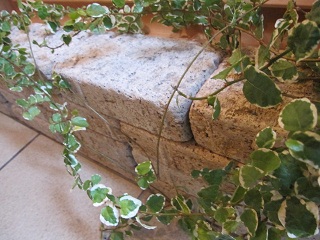 c0152002_17233494.jpg