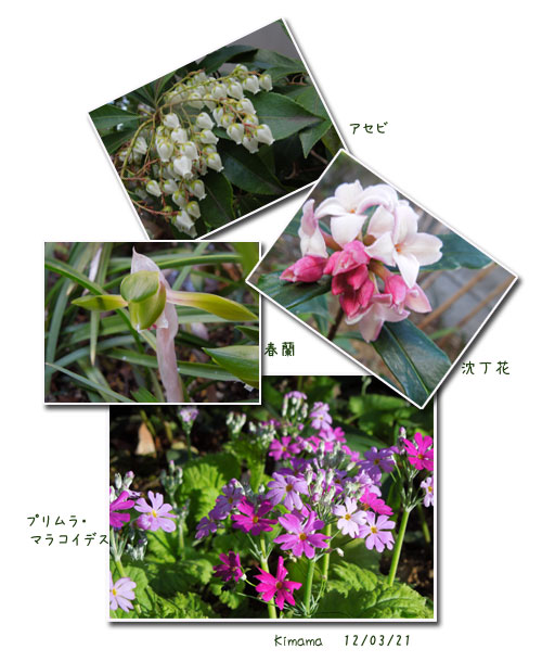 我街_c0051105_0284159.jpg