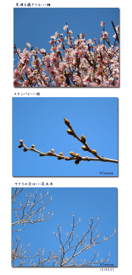 我街_c0051105_064213.jpg
