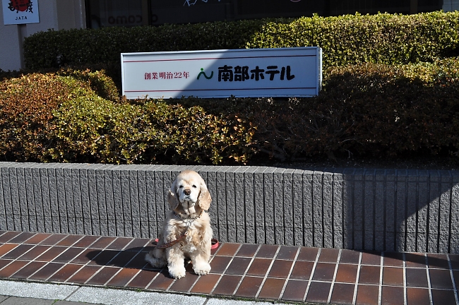 b0067012_1855521.jpg