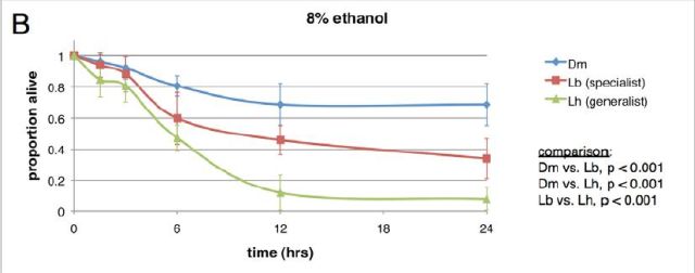 アルコール摂取によるショウジョウバエの寄生虫退治_c0025115_19245270.jpg