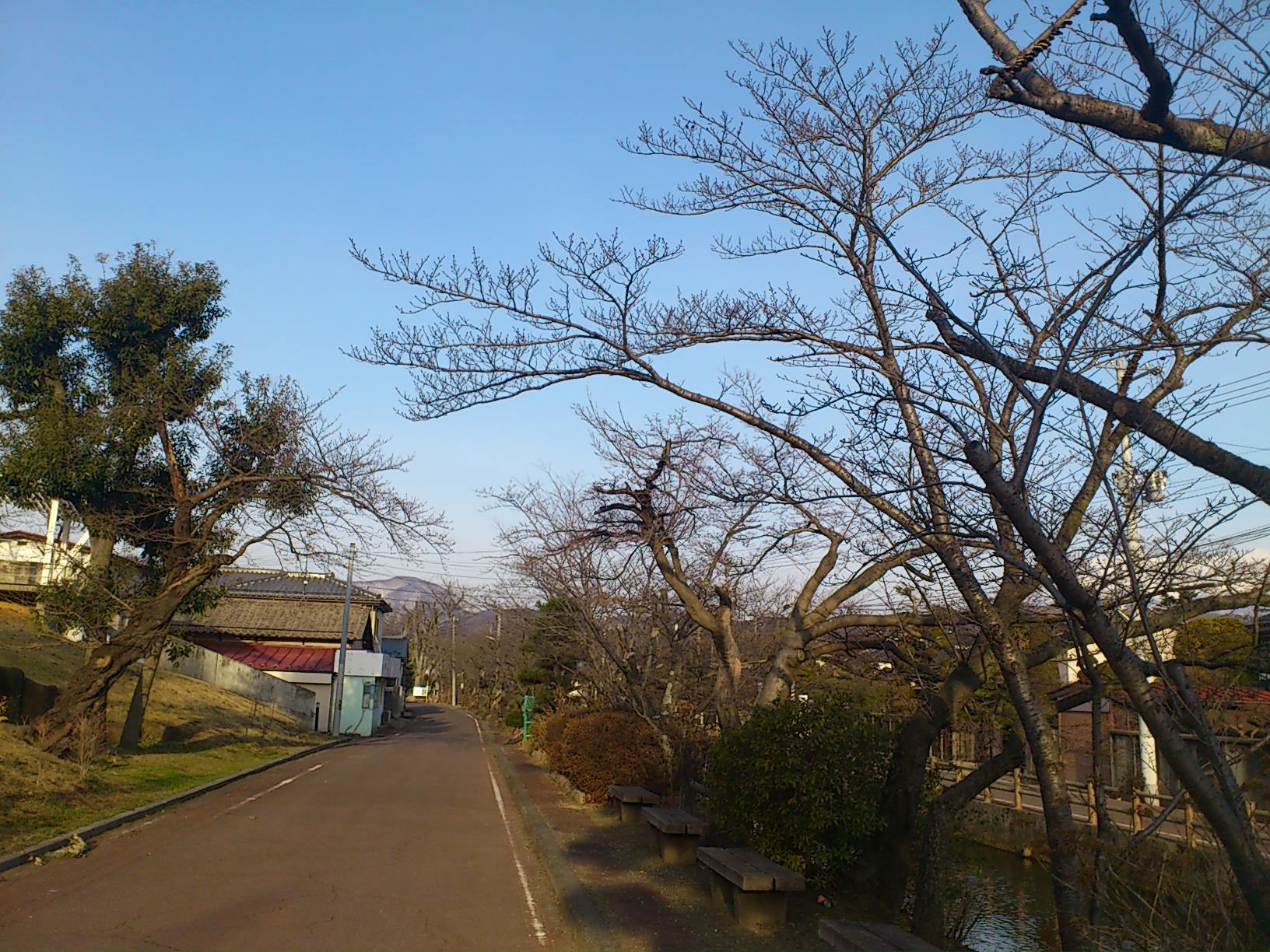 まだまだ_e0124021_9242250.jpg