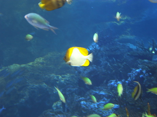 d0178432_21515234.jpg