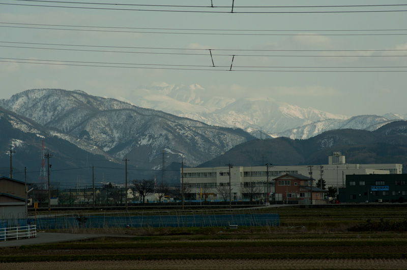 b0177233_88268.jpg