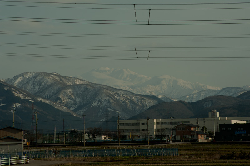 b0177233_89198.jpg