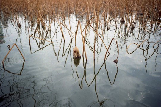 c0058941_21252423.jpg