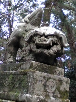 3/22 長崎 諫早にて_e0213444_16454672.jpg