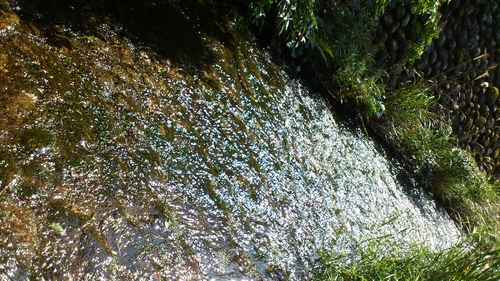 f0229844_134319.jpg