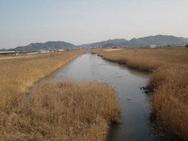 b0152548_14215635.jpg