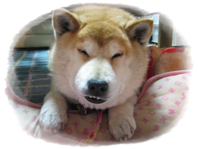 来週こそ?_c0049950_0412985.jpg