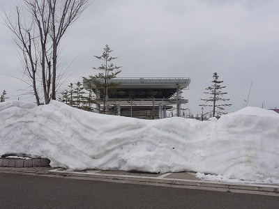 今日はかろうじて雪がふりませんでした_a0084753_18301852.jpg