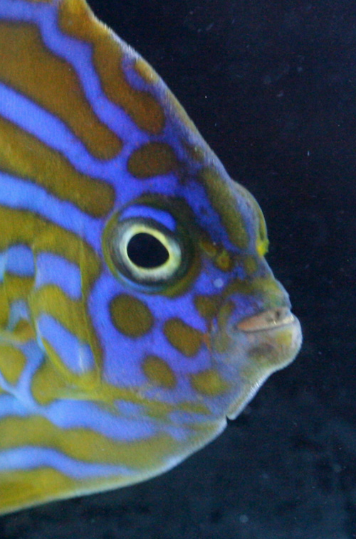 a0162261_21494430.jpg