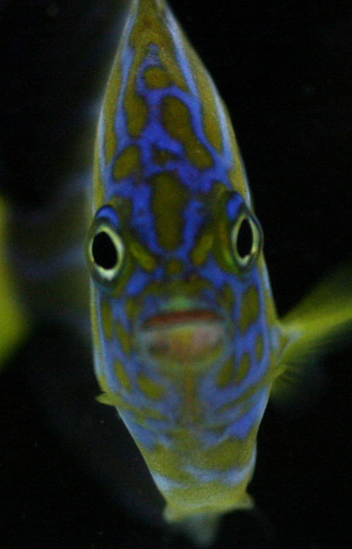 a0162261_21494943.jpg