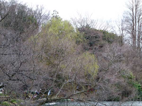 f0086169_21452256.jpg