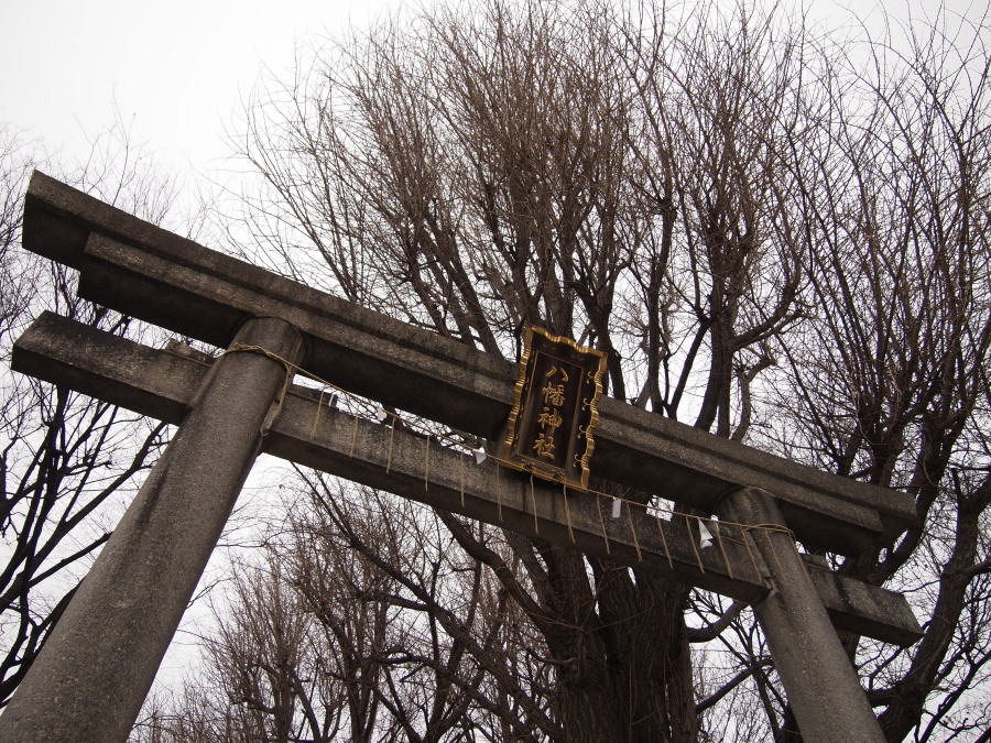 上田端八幡神社 (北区田端4丁目)_e0163471_18123740.jpg