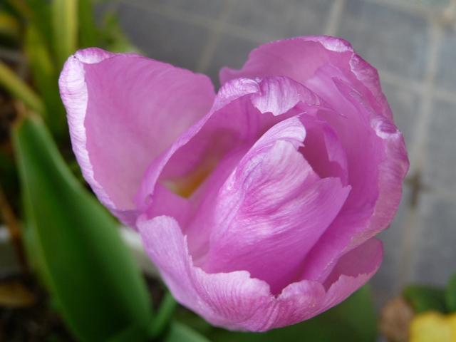 d0042474_0124137.jpg
