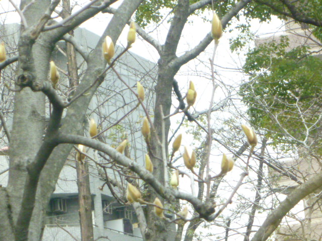 f0200477_21575966.jpg