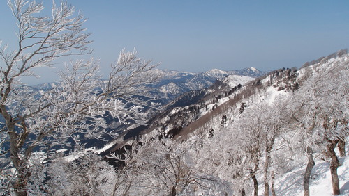 e0024081_9555737.jpg