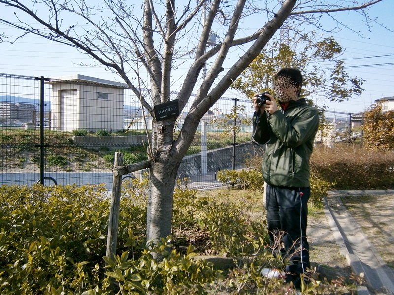 c0212783_420750.jpg