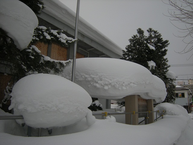 大雪旭川（3,22）_f0063887_048977.jpg