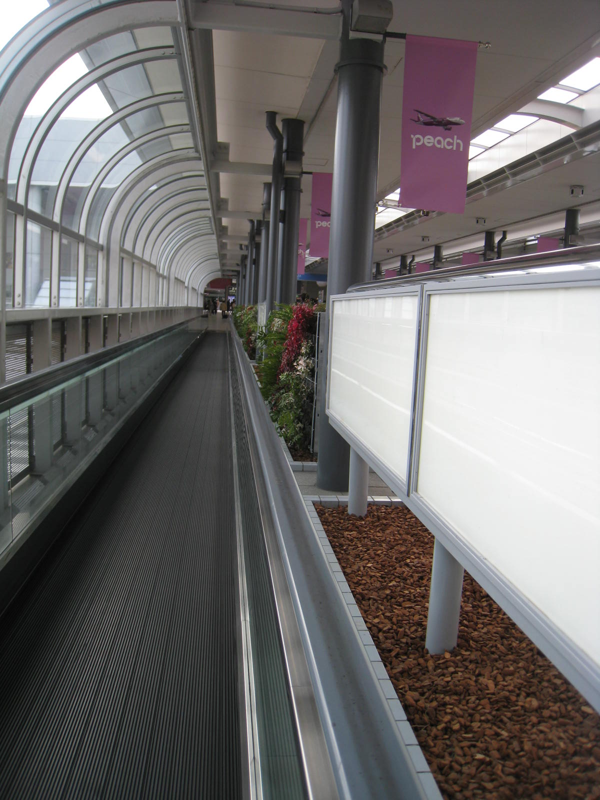 f0236391_742482.jpg