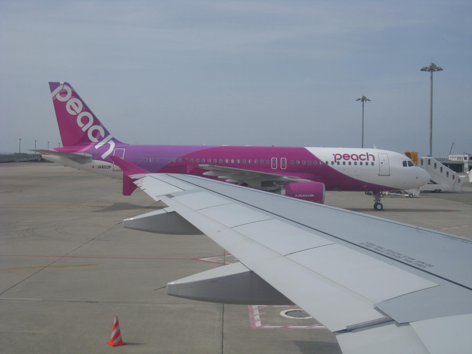 f0236391_84797.jpg