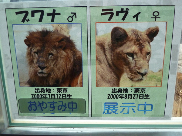 動物園 福山 市立