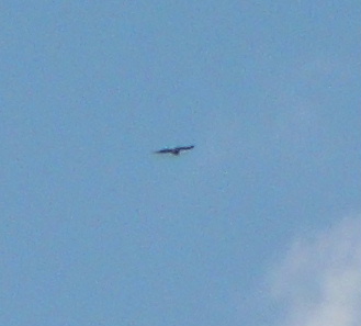 c0114797_23074.jpg