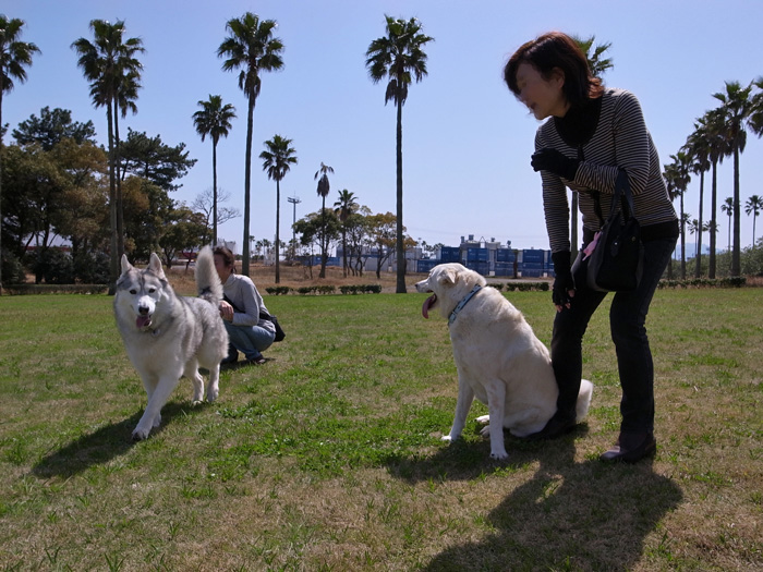 ラ、ランがラン♪ by CX5 & GRD3_c0049299_23201910.jpg