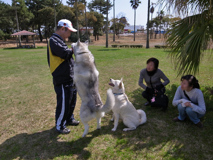ラ、ランがラン♪ by CX5 & GRD3_c0049299_23205666.jpg