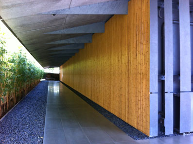 e0054299_10225145.jpg